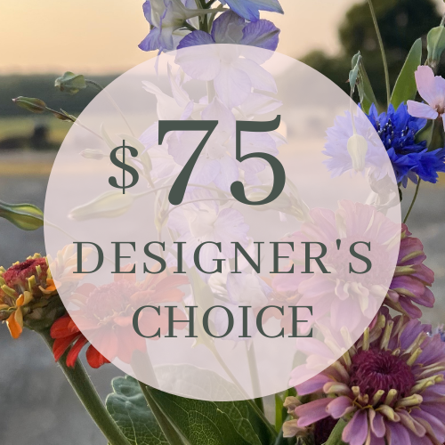 Designer's Choice $75