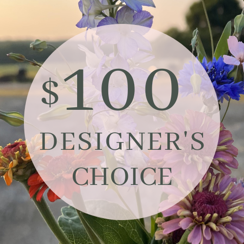 Designer's Choice $100