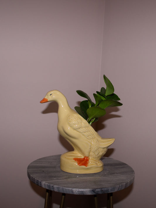 Duck Planter